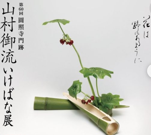 ikebana-ten-2025-